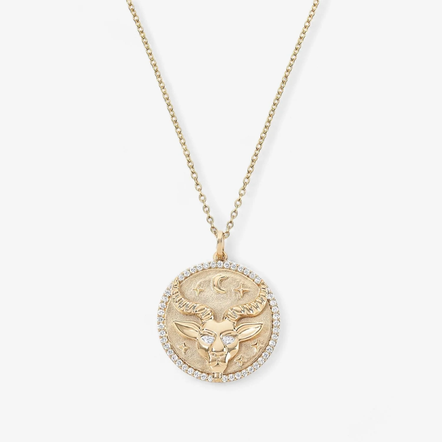 Capricorn Token Zodiac Necklace
