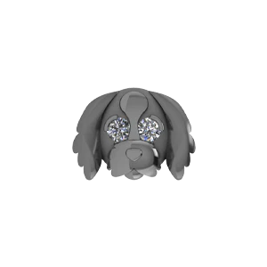 Slider Havanese Charm