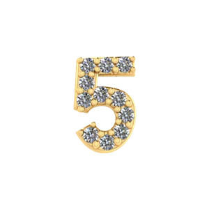 Slider Number 5 Charm
