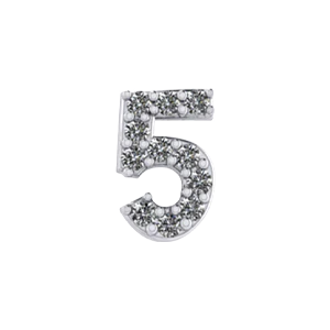 Slider Number 5 Charm - Image 2