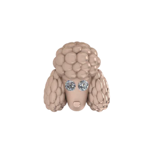 Slider Poodle Charm
