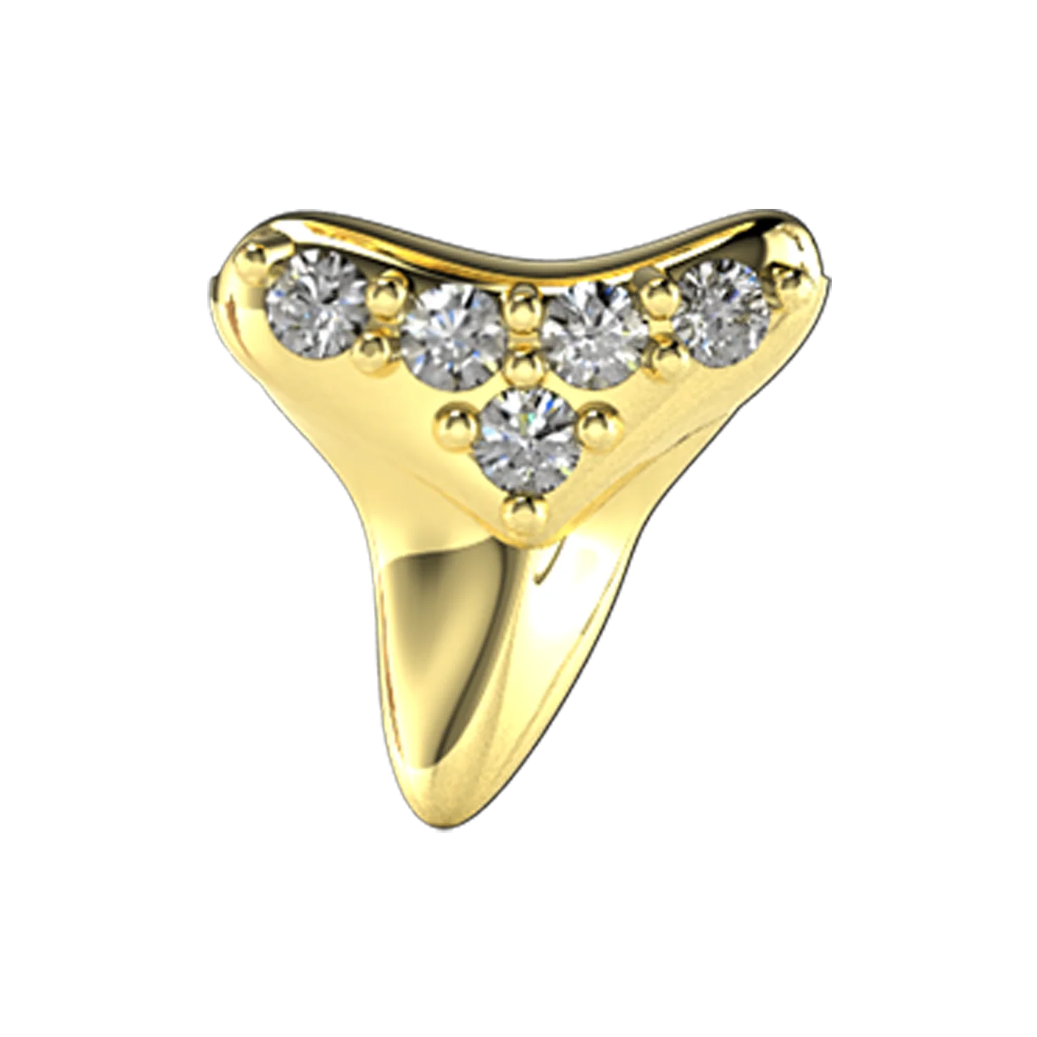 Shark Tooth Slider Charm